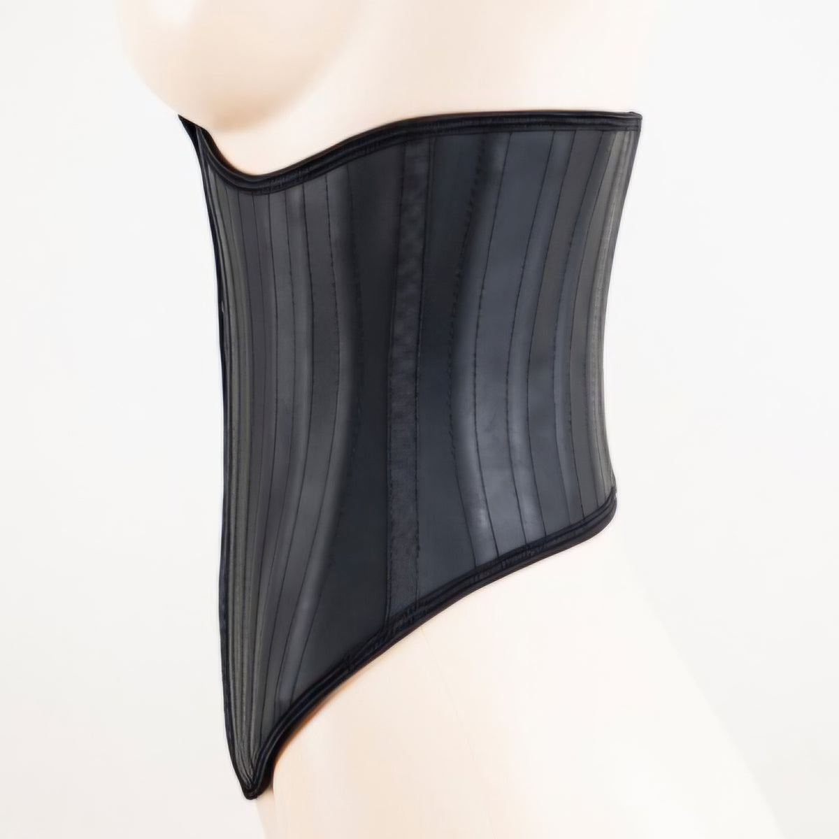 TWE Signature Waist Cincher 2.0 – The Waist Experts